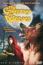 Watch The Company of Wolves Zumvo