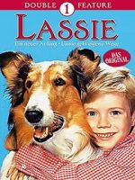 Watch Lassie: A New Beginning Zumvo