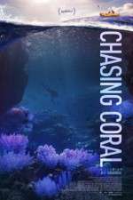 Watch Chasing Coral Zumvo