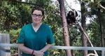 Watch Sue Perkins and the Chimp Sanctuary Zumvo