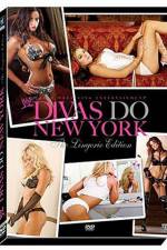 Watch WWE Divas Do New York Zumvo