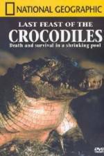 Watch National Geographic: The Last Feast of the Crocodiles Zumvo