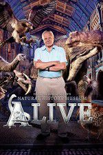 Watch David Attenborough\'s Natural History Museum Alive Zumvo
