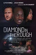 Watch Diamond in the Rough Zumvo