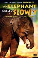 Watch An Elephant Called Slowly Zumvo