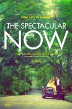 Watch The Spectacular Now Zumvo