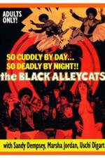 Watch The Black Alley Cats Zumvo