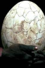 Watch Attenborough And The Giant Egg Zumvo