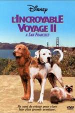 Watch Homeward Bound II Lost in San Francisco Zumvo