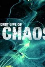 Watch The Secret Life of Chaos Zumvo