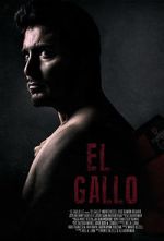Watch El Gallo Zumvo