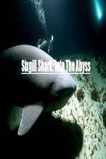 Watch National Geographic Wild Sixgill Shark Into The Abyss Zumvo