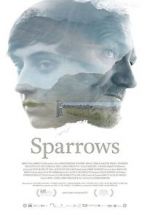 Watch Sparrows Zumvo