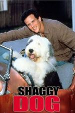 Watch The Shaggy Dog Zumvo