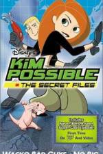 Watch "Kim Possible" Attack of the Killer Bebes Zumvo