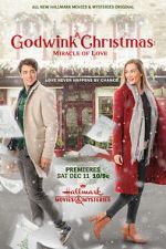 Watch A Godwink Christmas: Miracle of Love Zumvo