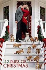 Watch 12 Pups of Christmas Zumvo