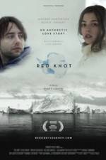 Watch Red Knot Zumvo