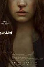 Watch Yardbird Zumvo