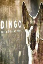 Watch Dingo Wild Dog at War Zumvo