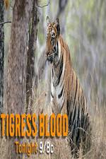 Watch Discovery Channel-Tigress Blood Zumvo