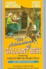 Watch Adventures of Gallant Bess Zumvo