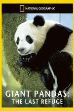 Watch National Geographic Giant Pandas The Last Refuge Zumvo