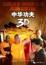 Watch Secrets of Shaolin with Jason Scott Lee Zumvo