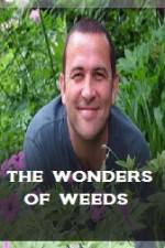 Watch The Wonder Of Weeds Zumvo