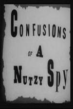 Watch Confusions of a Nutzy Spy Zumvo