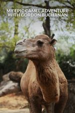 Watch My Epic Camel Adventure with Gordon Buchanan Zumvo