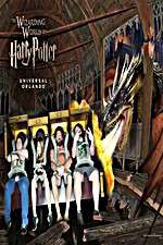 Watch Harry Potter and the Forbidden Journey Zumvo