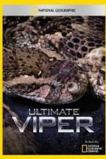 Watch National Geographic Ultimate Viper Zumvo