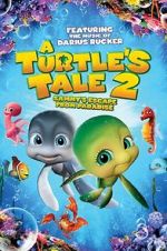 Watch A Turtle\'s Tale 2: Sammy\'s Escape from Paradise Zumvo