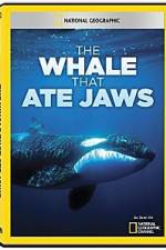 Watch National Geographic The Whale That Ate Jaws Zumvo