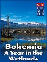Watch Bohemia: A Year in the Wetlands Zumvo