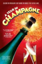 Watch A Year in Champagne Zumvo