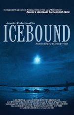 Watch Icebound Zumvo