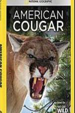 Watch National Geographic - American Cougar Zumvo