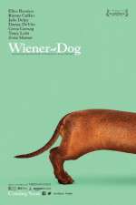 Watch Wiener-Dog Zumvo