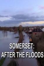 Watch Somerset: After the Floods Zumvo