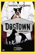 Watch National Geographic DogTown Zumvo