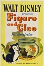 Watch Figaro and Cleo Zumvo