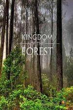 Watch National Geographic Kingdom of the Forest Zumvo