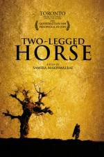 Watch Two-Legged Horse Zumvo