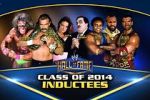 Watch WWE Hall of Fame Zumvo