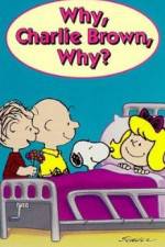 Watch Why Charlie Brown Why Zumvo