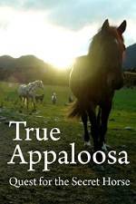 Watch True Appaloosa Zumvo