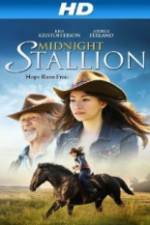 Watch Midnight Stallion Zumvo