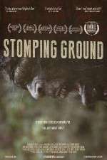 Watch Stomping Ground Zumvo